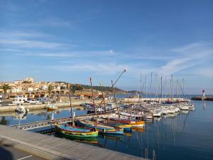 a bunch of boats are docked in a harbor at "Villa Llum i Mar", au coeur de Banyuls sur mer, 3 chambres avec climatisation, 2 SDB, garage,6 personnes, classée 3 étoiles in Banyuls-sur-Mer