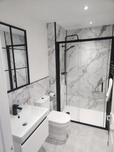 a bathroom with a toilet and a shower and a sink at No 8 Westbay Apartment in Oban