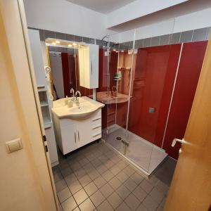 uma casa de banho com um lavatório e um chuveiro em Lovely Apartment for 4 on the Danube River - Private Parking em Viena