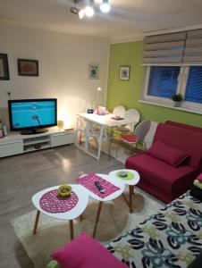 Μια τηλεόραση ή/και κέντρο ψυχαγωγίας στο Apartment Inn free garage,public parking