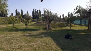 un gato negro tirado en la hierba en un parque en RUKAFUCHA en Mendoza