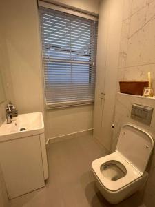 La salle de bains blanche est pourvue de toilettes et d'un lavabo. dans l'établissement One bedroom flat in Chelsea, à Londres