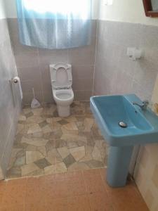 y baño con aseo y lavamanos azul. en La Belle du Sud en Rodrigues Island