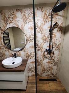a bathroom with a sink and a mirror on a wall at Nový apartman Eva in Jičín