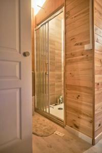 uma casa de banho com um chuveiro e uma porta de vidro em Gîte familial en pleine nature- Domaine Temali em Labouheyre