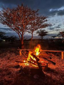 a fire pit in a field with a tree at Amboseli Cultural Camping in Amboseli