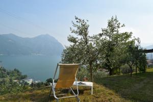 une chaise assise sur une colline à côté d'un arbre dans l'établissement Villa Domus Bianca Mountain Lake Iseo Hospitality, à Costa Volpino