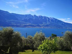 a view of a large body of water with a mountain at Appartamenti Helios in Limone sul Garda