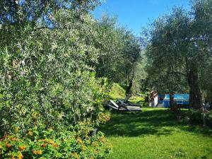 a park with trees and a bench in the grass at Appartamenti Helios in Limone sul Garda