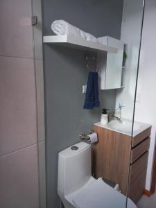 La petite salle de bains est pourvue de toilettes et d'un lavabo. dans l'établissement Casa con piscina, à Portegolpe
