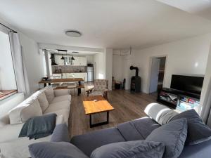 TV a/nebo společenská místnost v ubytování Apartmány Josefáč se saunou