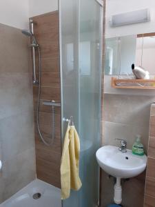 ein Bad mit einer Dusche und einem Waschbecken in der Unterkunft Rulfik in Hinterberg