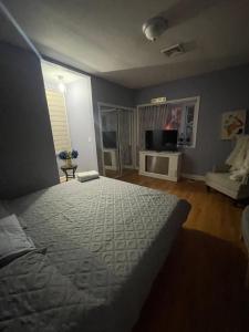 a bedroom with a large bed and a television at Verdana Rental NJ in North Bergen