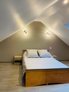 ein Schlafzimmer mit einem Bett mit zwei Lichtern an der Decke in der Unterkunft Superbe villa apaisante, vue sur la loue in Mouthier-Haute-Pierre