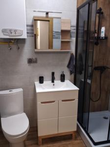 a bathroom with a toilet and a sink and a shower at Apartament Gustav in Zawiercie