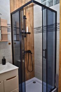 W łazience znajduje się prysznic ze szklanymi drzwiami. w obiekcie Apartament Gustav w mieście Zawiercie