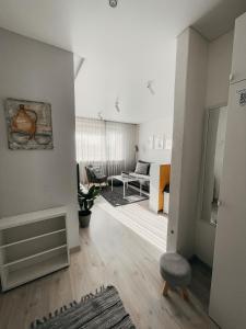 Marijampole Apartment في مارييامبولي: غرفة معيشة مع أريكة وكرسي