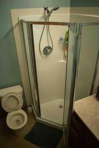 a bathroom with a shower and a toilet at Oyama house- close to beach in Lake Country