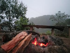 Příroda nedaleko luxury tent