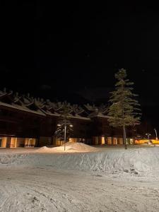 un edificio con dos árboles en la nieve por la noche en la casetta sulla neve, en Abetone