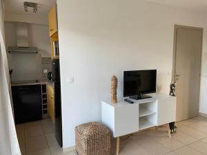 Μια τηλεόραση ή/και κέντρο ψυχαγωγίας στο Villa 4 à 6 personnes dans résidence avec piscines proche plage