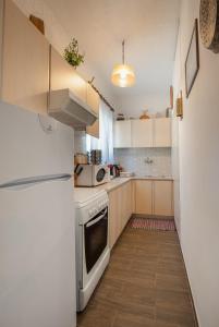 a small kitchen with a stove and a refrigerator at Villa Dianne Apt 1 Livadi Arachovas in Arachova