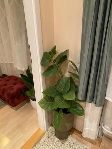 Fotografia z galérie ubytovania Jungle Story Apartment by Millenaris Park with Free Parking v Budapešti