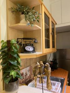 Kuchyňa alebo kuchynka v ubytovaní Jungle Story Apartment by Millenaris Park with Free Parking
