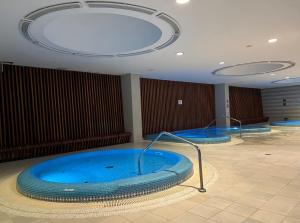 Fotografia z galérie ubytovania Luxury Apartment DunaPest with Spa and Pool v Budapešti