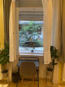 Fotografia z galérie ubytovania Jungle Story Apartment by Millenaris Park with Free Parking v Budapešti