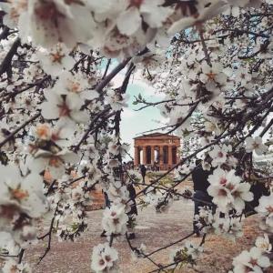 Κήπος έξω από το The Loft - CIR 19084032C204986