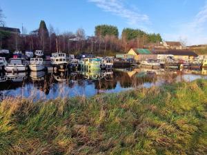 a bunch of boats are docked in a harbor at Fern Lodge. Drumcoura Lake Resort, in Ballinamore