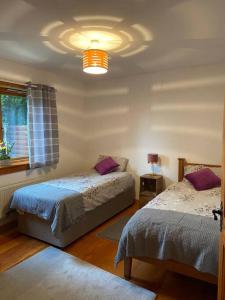 1 dormitorio con 2 camas, lámpara y ventana en Fern Lodge. Drumcoura Lake Resort, en Ballinamore
