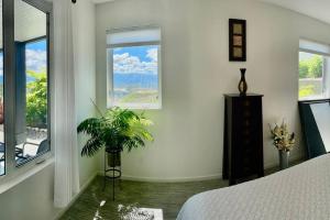 基洛納的住宿－Black Mountain Amazing Home on Golf Course，一间卧室配有床、植物和窗户