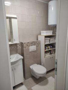 Ένα μπάνιο στο Apartman MD +2 φωτογραφίες