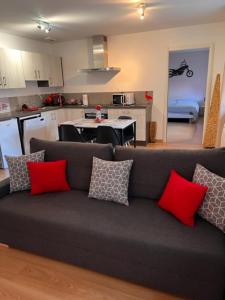sala de estar con sofá gris y almohadas rojas en Coeur Alsace en Colmar