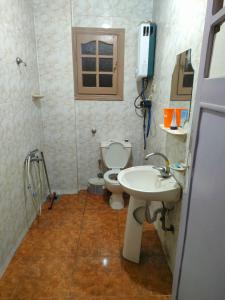 a bathroom with a toilet and a sink at غير متاحه للايجار الرجاء عدم الحجز لانها غير متوفره in Alexandria