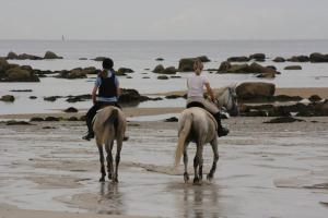 dos personas montando caballos en la playa en Home Kervezec, en Garlan