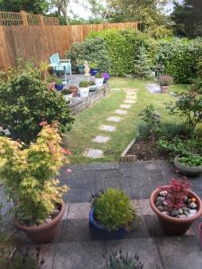 a garden with many potted plants and a fence at Olcote House in Padstow