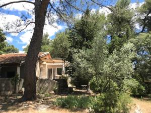 stary dom z drzewem w ogrodzie w obiekcie Loumaset-agréable petite maison-garrigues de Nîmes w mieście Nîmes