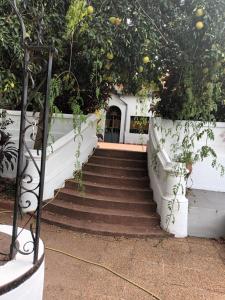 a set of stairs with trees and oranges w obiekcie Lo de Poujade w mieście Posadas
