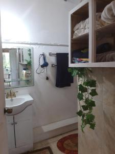 a bathroom with a sink and a mirror at Tranquil guest House in Buccoo