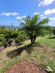 Un paisaje natural cerca del departamento
