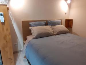 1 dormitorio con 1 cama grande y 2 almohadas en Studio indépendant dans villa en Néffiès