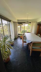 Habitación con mesa, planta y ventanas en Casa Las Violetas en San Carlos de Bariloche