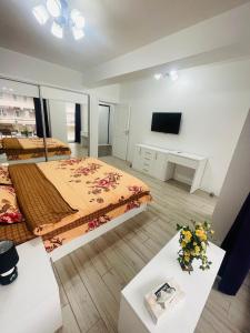 a large room with a bed and a tv at DEEA Residence in Mamaia