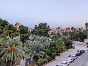 ulica miejska z zaparkowanymi samochodami i palmami w obiekcie Comunidad Valenciana 31 w mieście Elche
