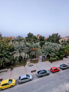 Zdjęcie z galerii obiektu Comunidad Valenciana 31 w mieście Elche