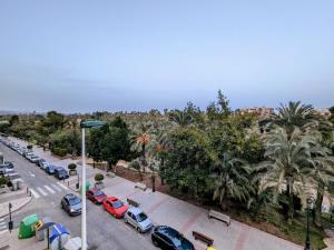 Zdjęcie z galerii obiektu Comunidad Valenciana 31 w mieście Elche
