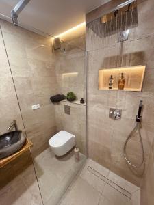 ein Bad mit einer Dusche, einem WC und einem Waschbecken in der Unterkunft WITTMANN Ganze Apartments in Gifhorn in Gifhorn